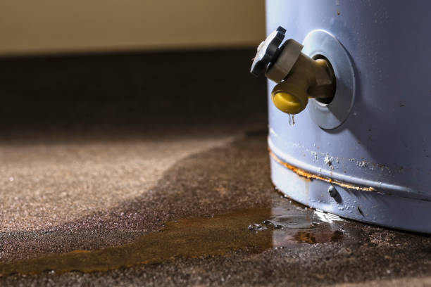 Best Water damage restoration cost  in USA